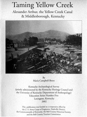 cover image of Taming Yellow Creek